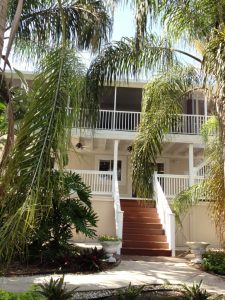 Baywood Village, palm harbor florida