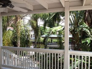 Baywood Village, palm harbor florida