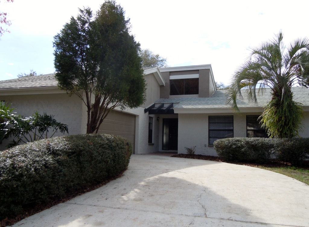 Palm Harbor Florida's Lake St Community