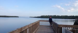 wall springs park, palm harbor florida