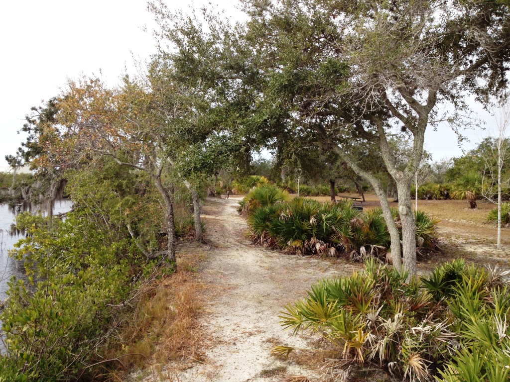 GC4XP3M Anclote River Basin (Traditional Cache) in Florida, United ...