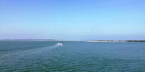 dunedin causeway florida