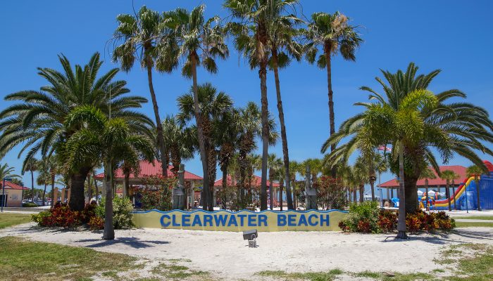 Welcome Sign in front of palm trees at Clearwater beach. Clearwater beach is a popular toursit destination on the Gulf coast of Florida